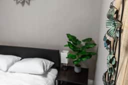 Cozy Apt 2 min from Promenade Park - Image 2